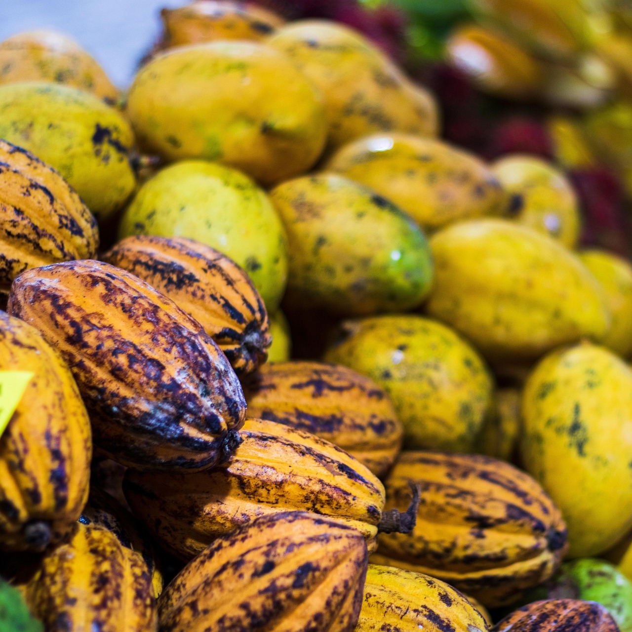 Früchte Mangos Kakaobohnen - Kostenloses Foto auf Pixabay - Pixabay