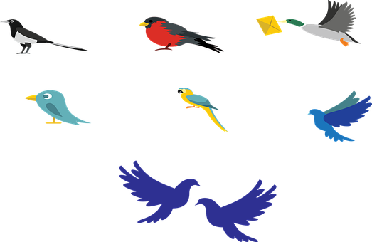 Fugl, Kanariefugl, Gren, Flyvende Fugl