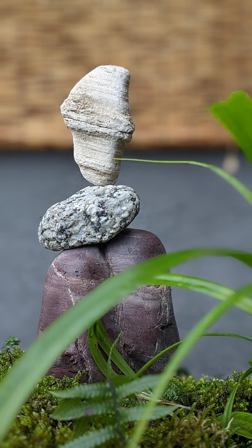 Saldo, 石头, 鹅卵石
