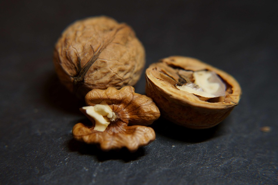 核桃 坚果 食物 - Pixabay上的免费照片 - Pixabay