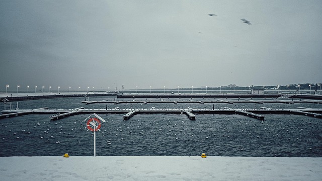 Meer, Polen, Marina, Winter, Schnee