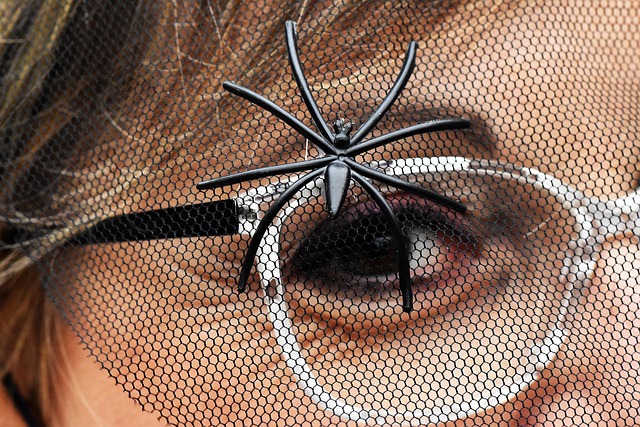 Free Halloween Spider photo and picture