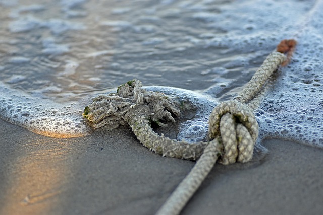 Free Rope Beach photo and picture