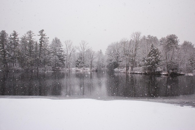 Water, Sneeuw, Winter, Besneeuwde Dag