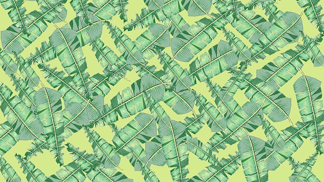 Free banana leaves nature illustration