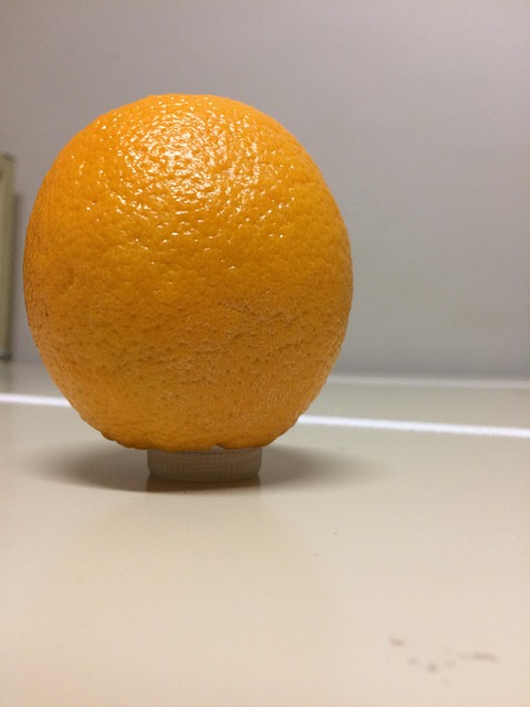 Free Orange Fruit photo and picture