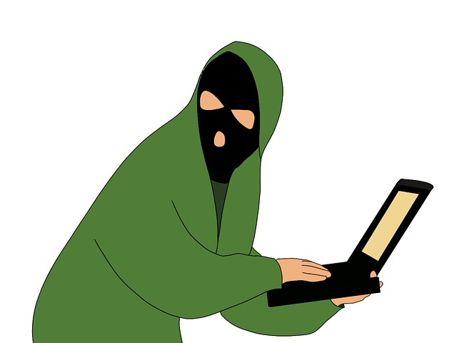 Dief, Misdrijf, Rover, Online, Hackers