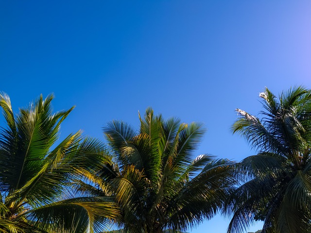 Free Blue Sky photo and picture