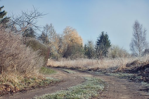 Free Nature Path photo and picture