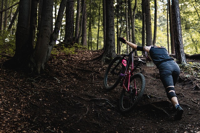 Fahrrad, Natur, Aktivität, Wald, Wildnis