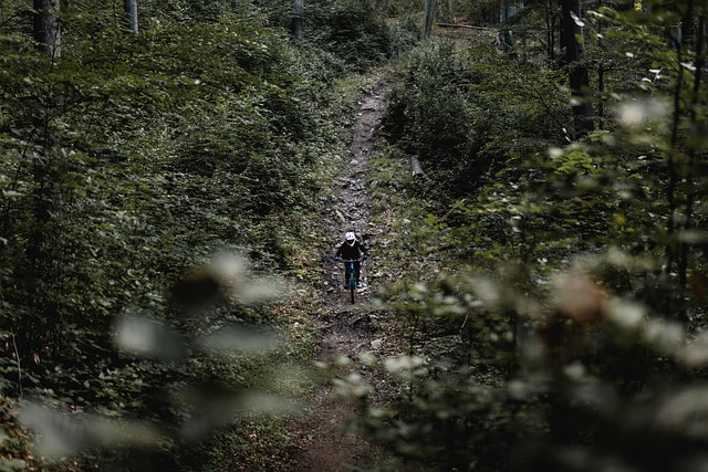 Wald, Berge, Abenteuer