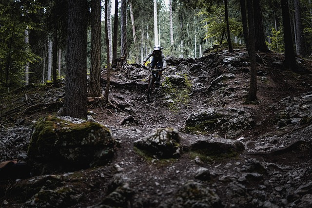 Fahrrad, Abenteuer, Natur, Wald, Draußen