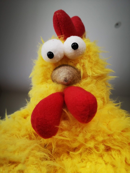Bird Chicken Stuffed Animal Free photo on Pixabay