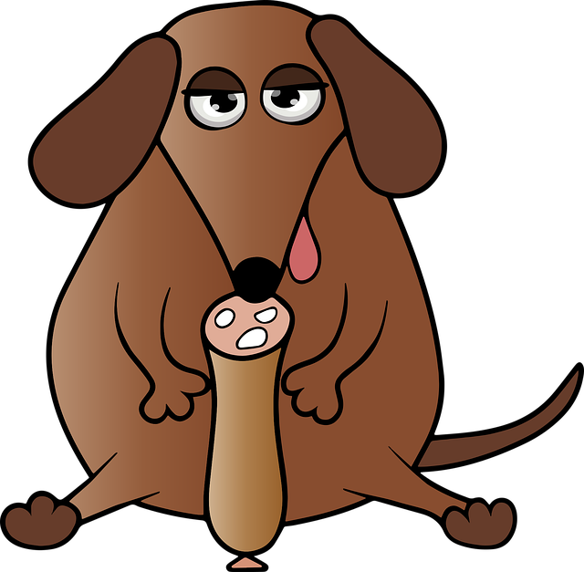 Free Dog Cute vector and picture
