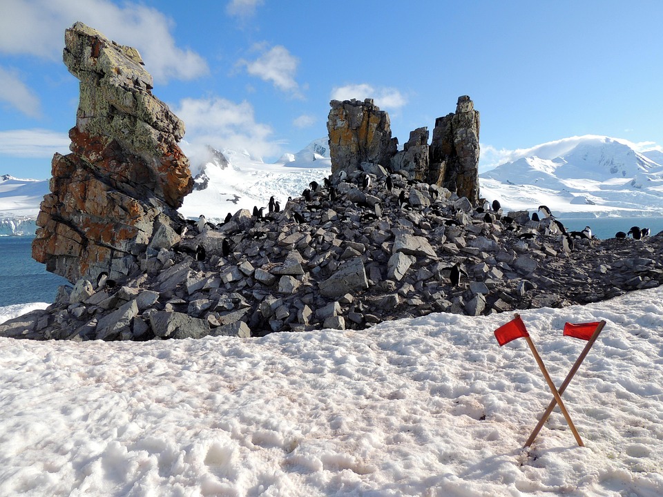 南极洲 雪 岩石 - Pixabay上的免费照片 - Pixabay