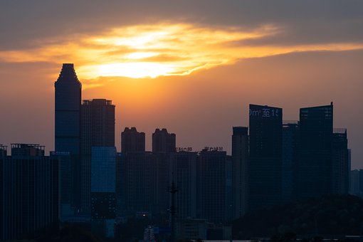 Free City Nature photo and picture