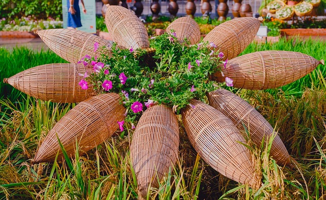 Bloemen, Boom, Bloom, Natuur, De Lente