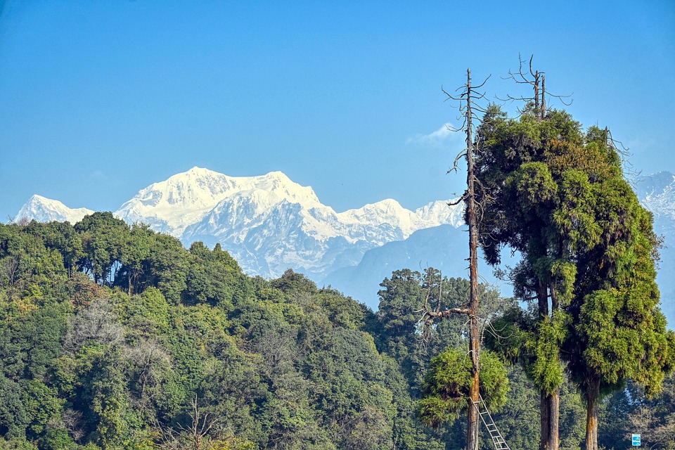 Picture of Himalayas as seen from Pelling Rabdentse ruins.