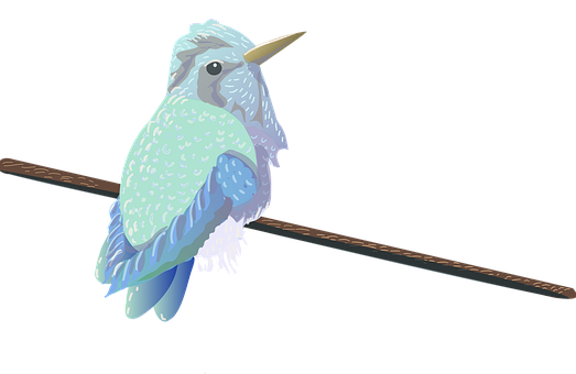 Free Hummingbird Bird vector and picture