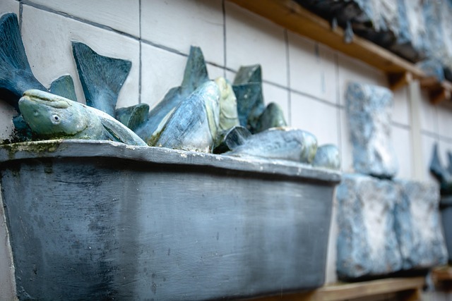 Free Fishes Market photo and picture