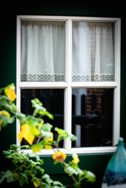 Free Window House photo and picture