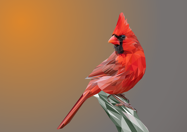 Free bird cardinal finch pen illustration