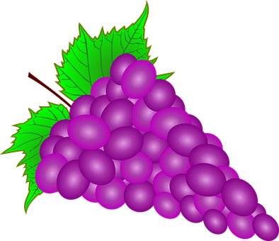 Uvas, Racimo, Fruta, Grupo, Sale De