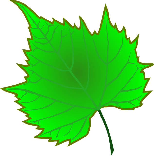 Sale De, Verde, Uva, Natural