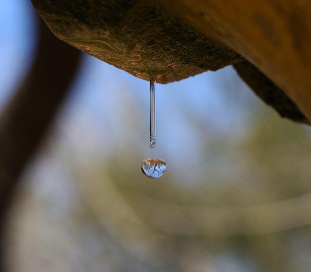Fuente De Agua Gota Soltar Foto Gratis En Pixabay Pixabay