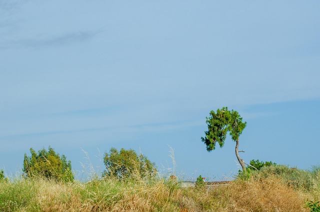 Natuur, Gebied, Buitenshuis, Landelijk