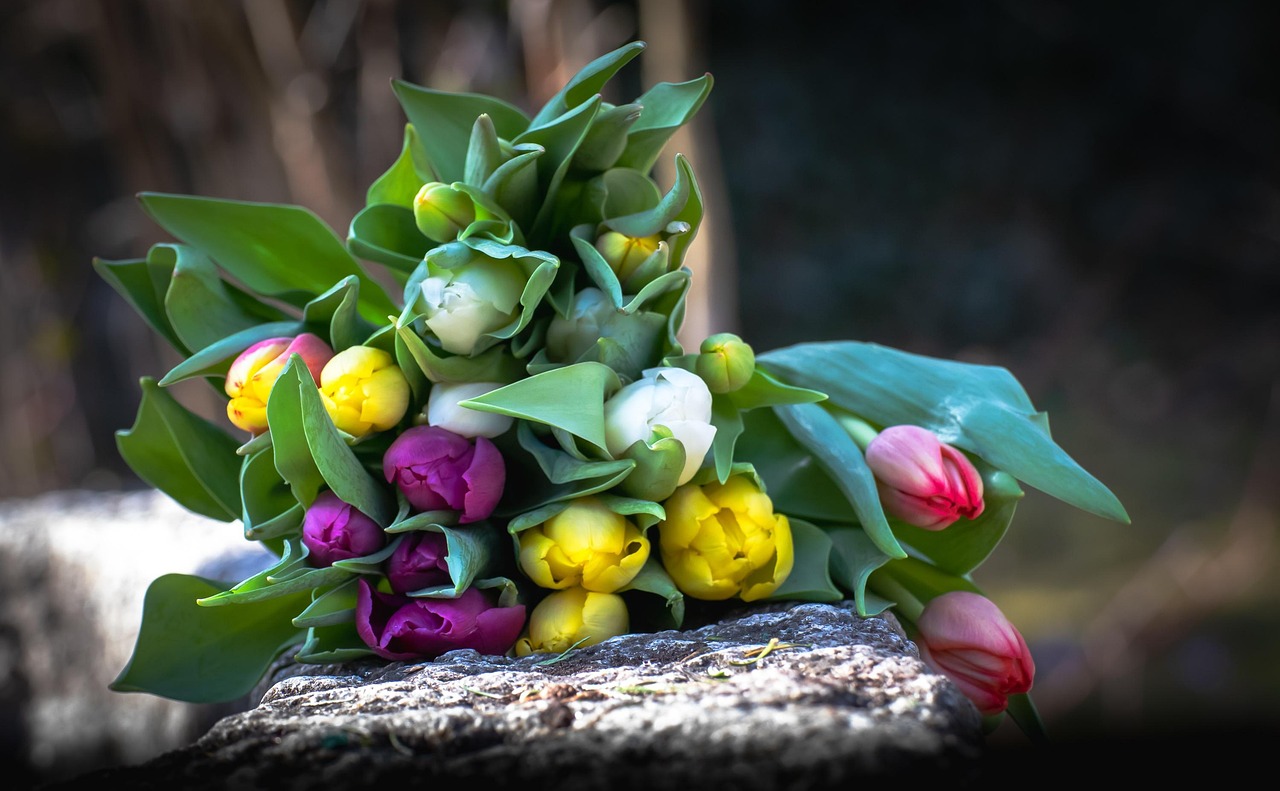 https://cdn.pixabay.com/photo/2022/03/20/09/04/tulips-7080297_1280.jpg