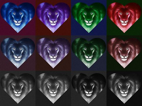 Free Lion Colors photo and picture