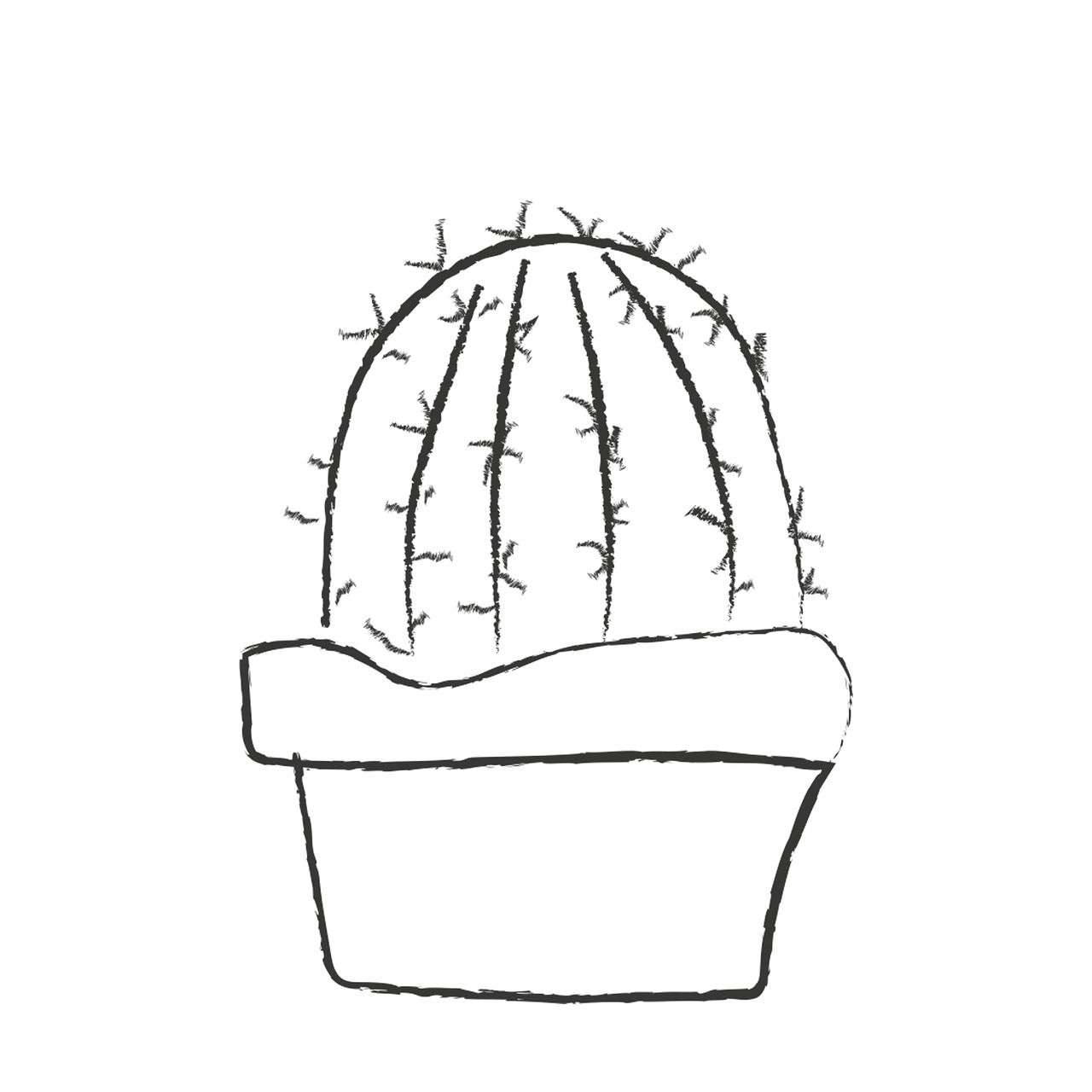 cactus-planta-flor-de-imagen-gratis-en-pixabay-pixabay
