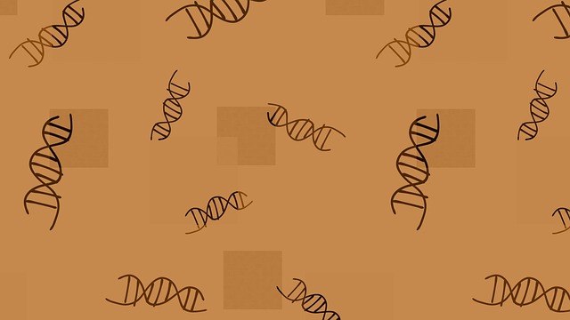 Download free HD stock image of Biology Dna Free biology dna genetics illustration