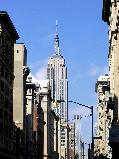 Free Skyline Buildings photo and picture