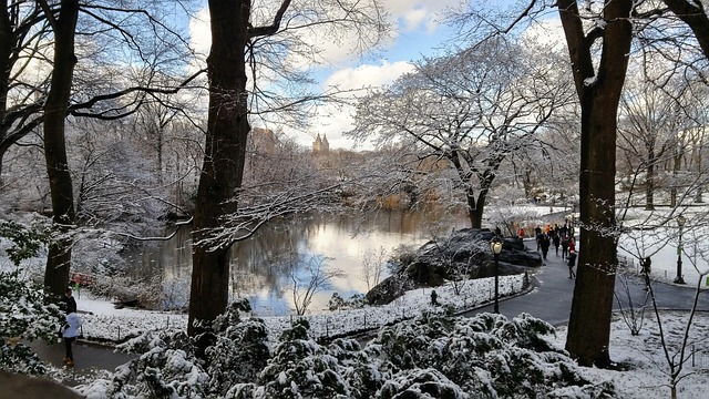 Free Snow Winter photo and picture