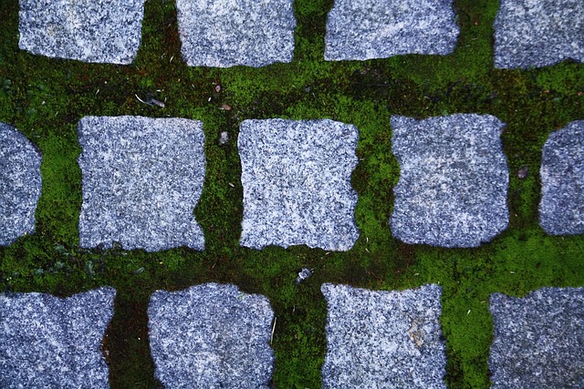 Free Cobblestones Stones photo and picture