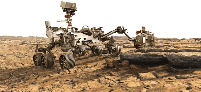 Free vehicle rover transport illustration