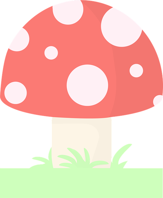 Champiñón, Micología, Crecimiento, Hongo
