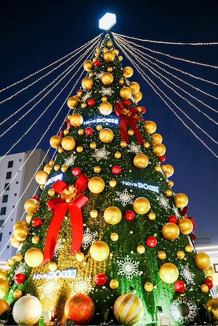 Boom, Kerstmis, Lamp, Donker, Zeer