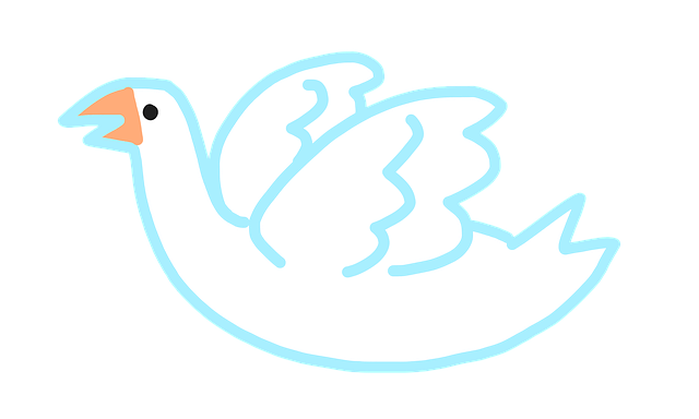 Zwaan, Vogel, Dier, Gans, Eend