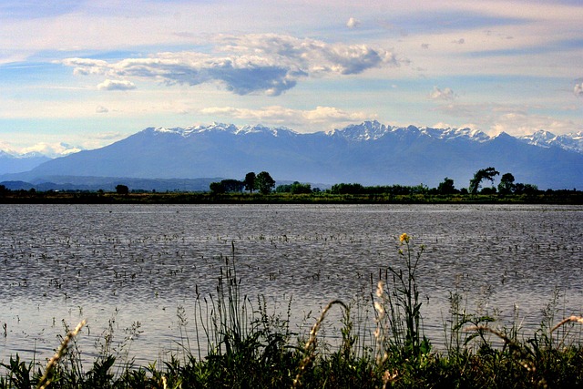 Free Nature Lake photo and picture