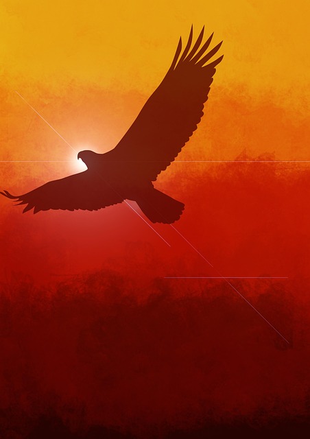 Vogel, Fliegend, Tierwelt, Spezies
