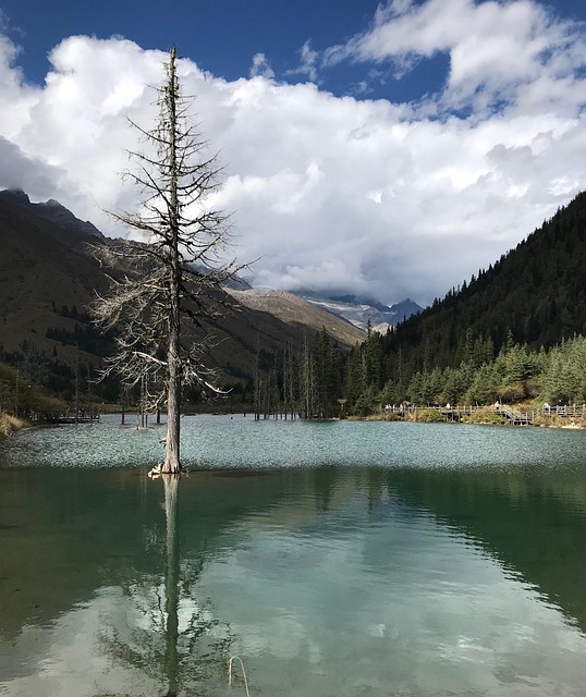 Free Plateau Natural photo and picture