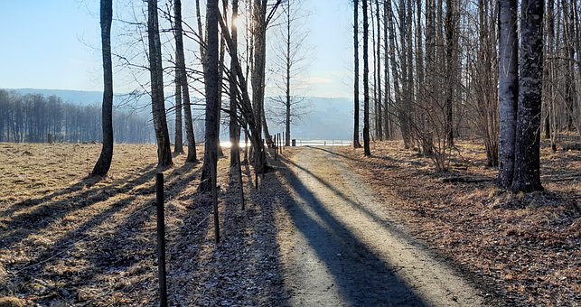 Free Spring Sweden photo and picture