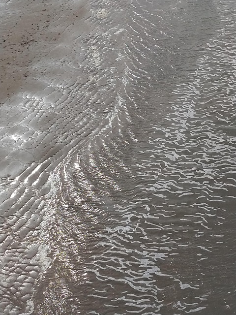 Free Beach Coast photo and picture