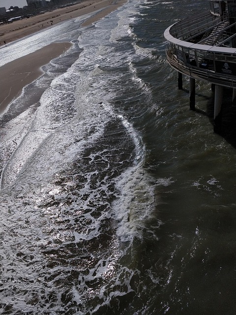 Free Coast Sea photo and picture