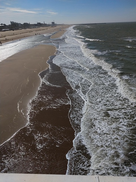 Free Scheveningen Beach photo and picture