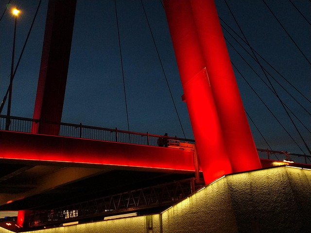 Free Willemsbrug Rotterdam photo and picture