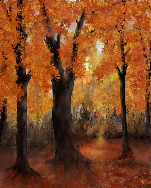 秋天的画 秋天 森林 - Pixabay上的免费照片 - Pixabay